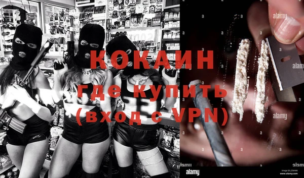 ПСИЛОЦИБИНОВЫЕ ГРИБЫ Инсар