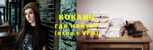 МДПВ Инта