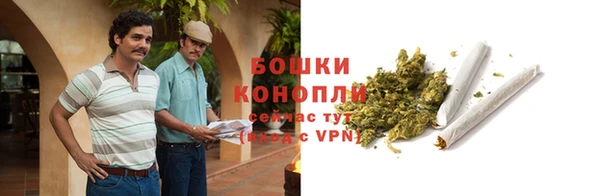 МДПВ Инта