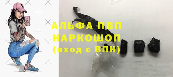 ПСИЛОЦИБИНОВЫЕ ГРИБЫ Инсар