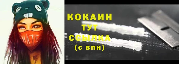 МДПВ Инта