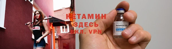 ПСИЛОЦИБИНОВЫЕ ГРИБЫ Инсар