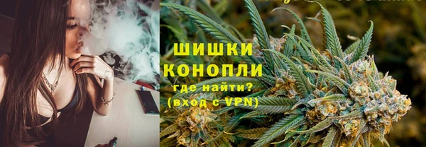 ПСИЛОЦИБИНОВЫЕ ГРИБЫ Инсар