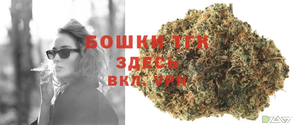 ПСИЛОЦИБИНОВЫЕ ГРИБЫ Инсар