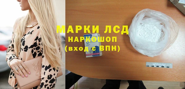 ПСИЛОЦИБИНОВЫЕ ГРИБЫ Инсар