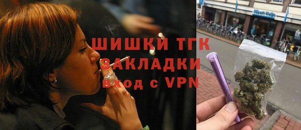 ПСИЛОЦИБИНОВЫЕ ГРИБЫ Инсар
