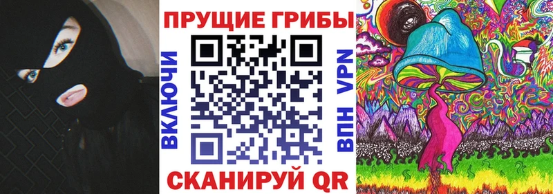 Купить где  Киселёвск  Псилоцибиновые грибы прущие грибы 