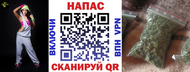 Канабис план  Купить где  Киселёвск 